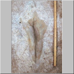 102_6262 (2013-08-08)m2.JPG